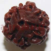 3 mukhi 24975 18mm